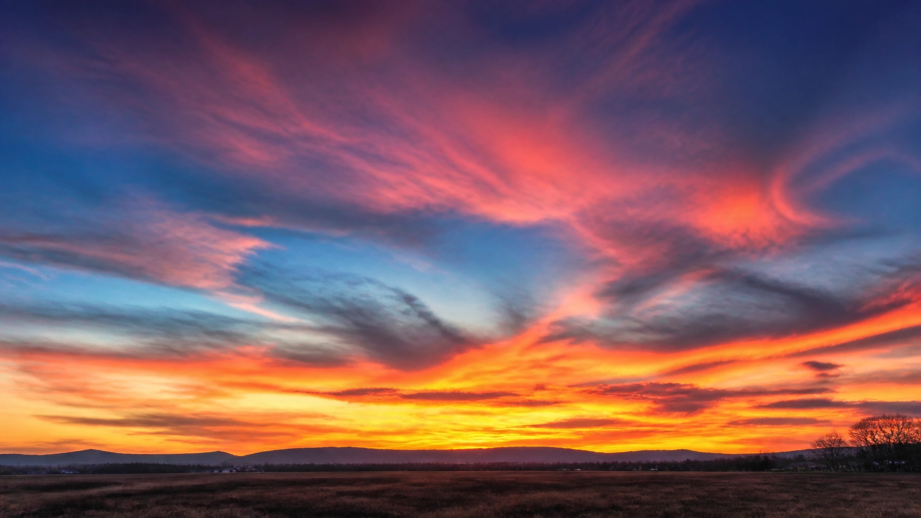 Most Furniture Buyers Think Sky Art is Standard Decor… Until They See the ROI of Scalable Celestial Installations